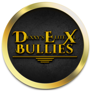 Dex Bullies Dexter Lawrence Elite XL Bullies, American Bully XL puppies for sale GHB Bloodlines Favicon Logo bully breedings and puppies